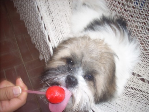 Mmm que rico chupete.